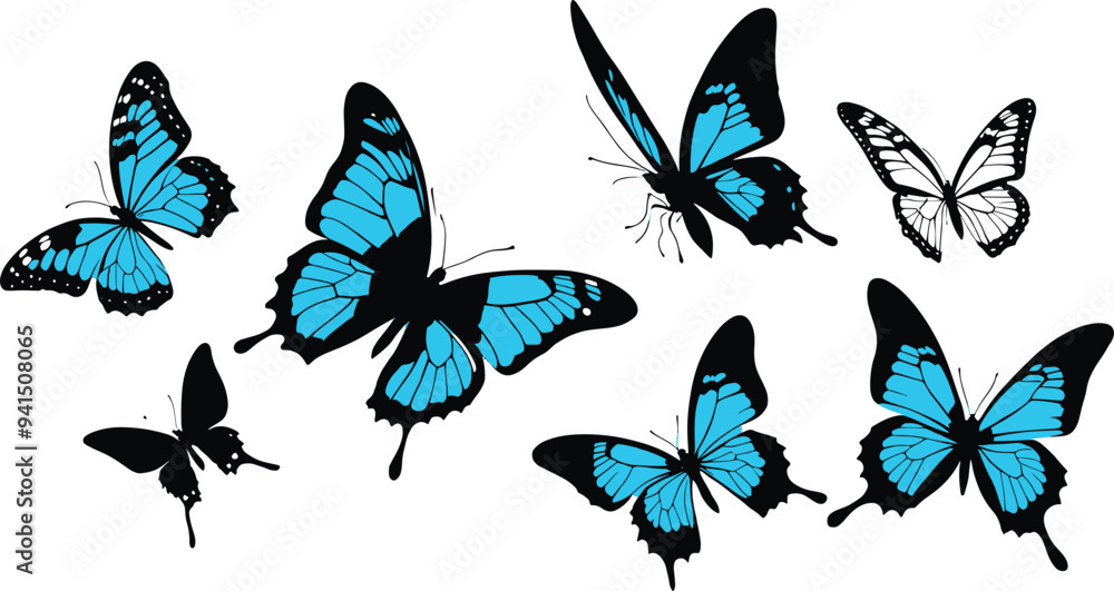 set of butterfly silhouette white background set of butterfly silhouette white background
