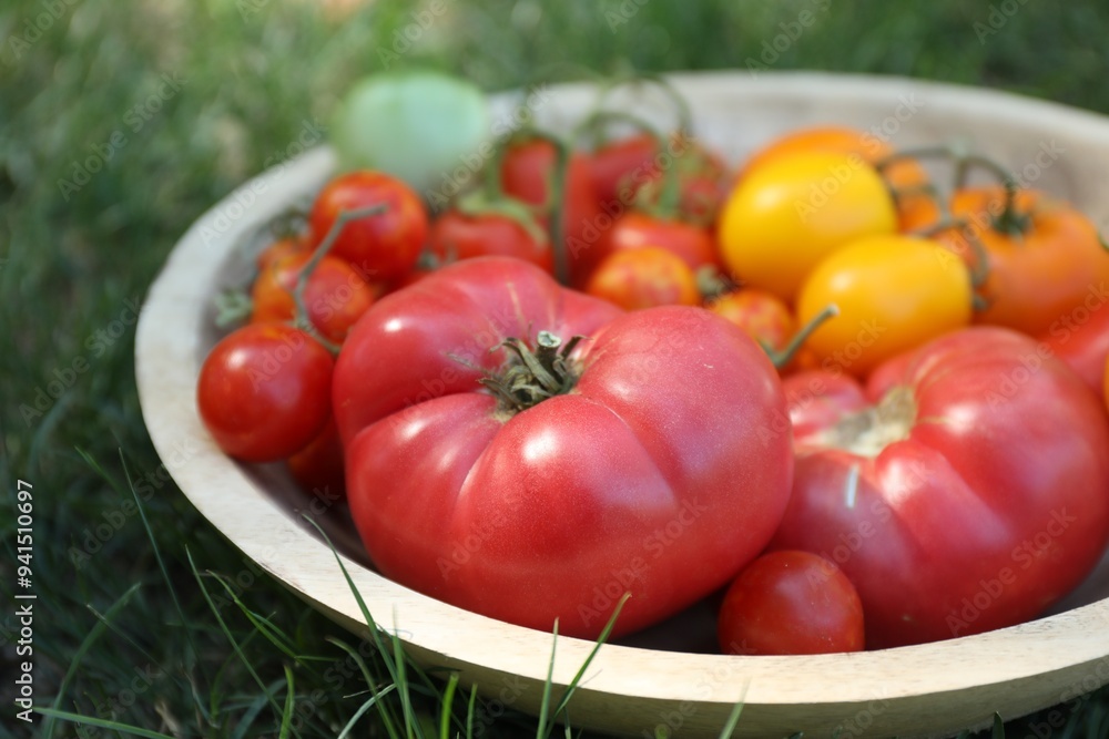 Different fresh tomatoes in bowl on green grass outdoors, closeup Different fresh tomatoes in bowl on green grass outdoors, closeup