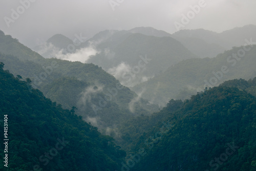 mountains in the fog