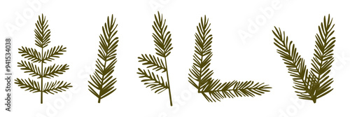 Set of spruce branches Vector Christmas illustration Christmas and New Year green coniferous plant symbols Isolated on white background. 