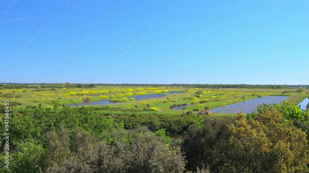 Panorama of the salt marshes of Le Marais aux Oiseaux bird park on a sunny day on Oleron island in France Panorama of the salt marshes of Le Marais aux Oiseaux bird park on a sunny day on Oleron island in France