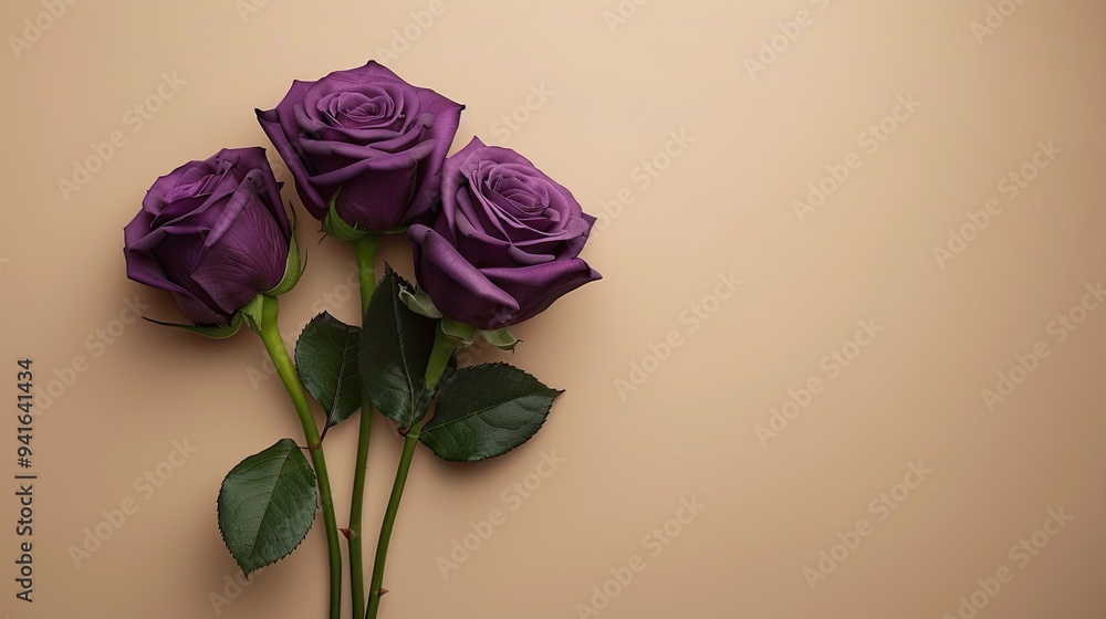 Fototapeta premium Purple peonies roses on white background with copy space abstract natural floral frame layout with text space romantic feminine composition wedding invitation concept.