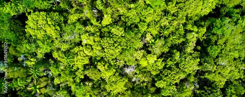 
Discover Raja Ampat in Papua, Indonesia, with amazing turquoise waters, stunning sandbanks, and vibrant sea life. Perfect for a holiday, enjoy a drone's aerial view of this tropical paradise