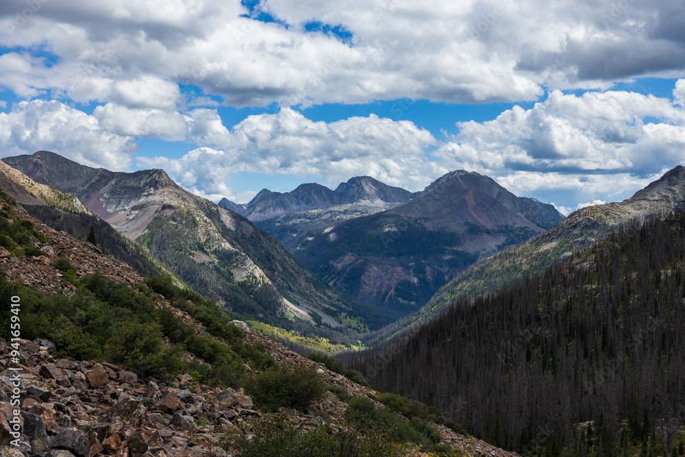 Fototapeta premium Deep mountain valley with forest and summer peaks