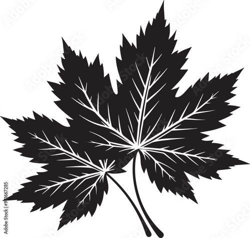 Wallpaper Mural Maple leaf Silhouette Vector Illustration Torontodigital.ca