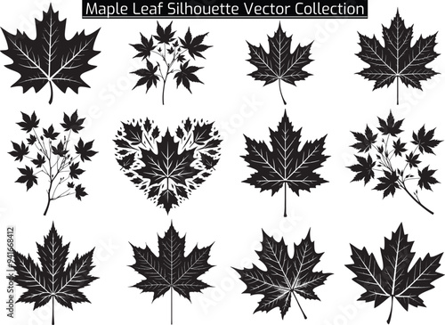 Maple leaf Silhouette Vector Illustration