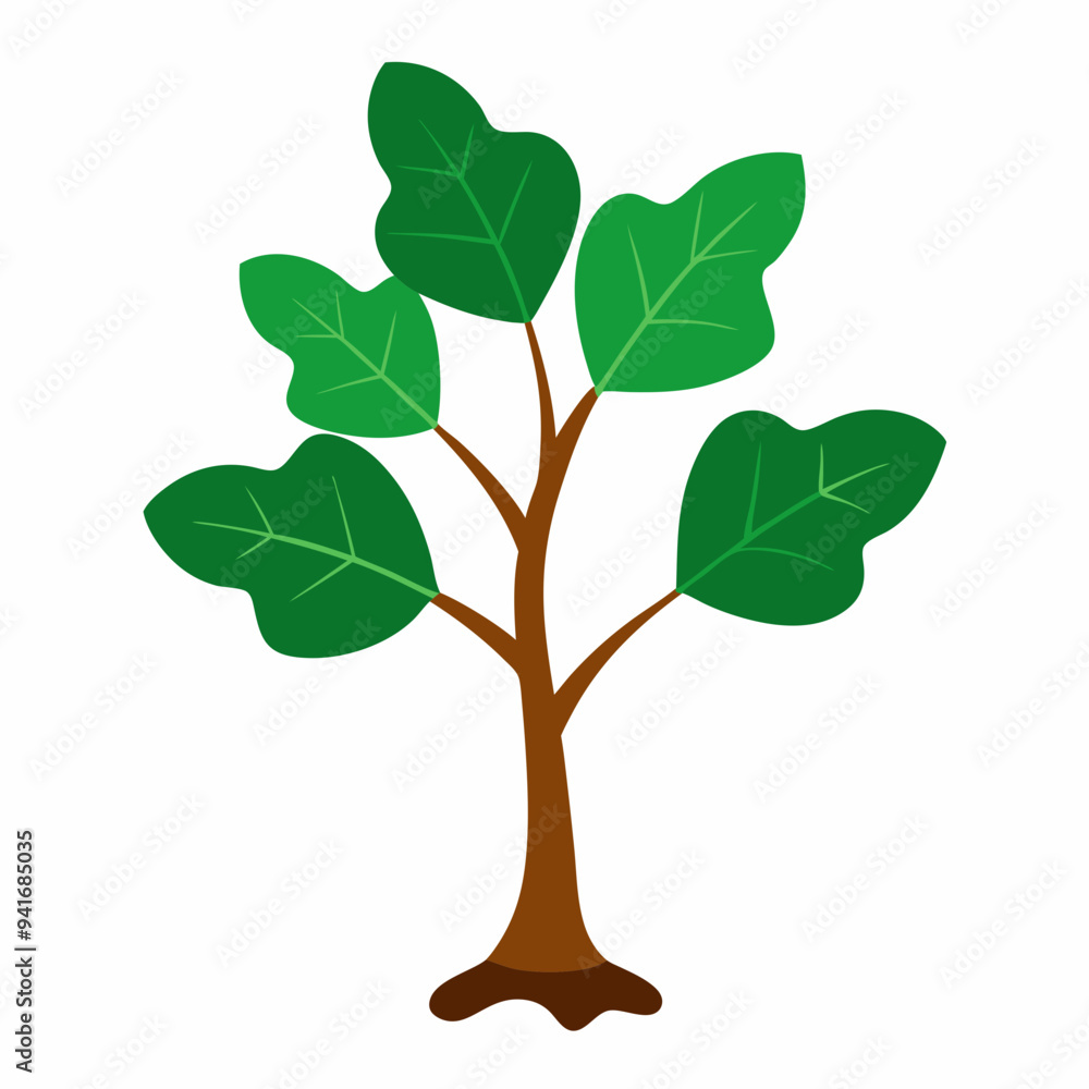 Obraz premium Sacred Fig Vector Art Design