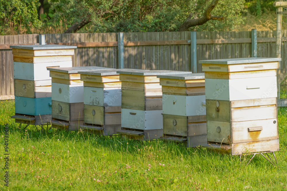 Several wooden beehives in the garden. Several wooden beehives in the garden.