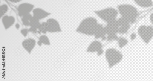 Glare from the sun's rays on the wall. Blurred shadows from leaves and plants in the room. Soft overlay of natural light. Abstract background for product presentation.