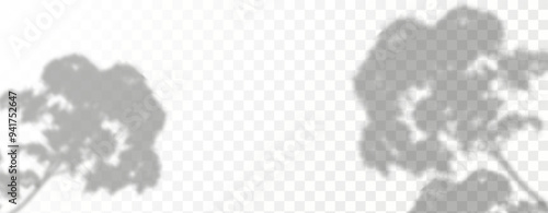 Glare from the sun's rays on the wall. Blurred shadows from leaves and plants in the room. Soft overlay of natural light.