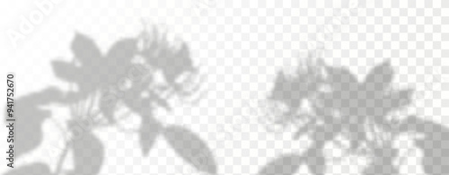 Glare from the sun's rays on the wall. Blurred shadows from leaves and plants in the room. Soft overlay of natural light.