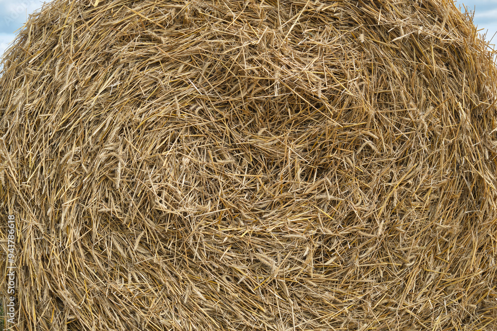Hay bale background. Straw bales outdoors. Make hay. Selective focus. Hay bale background. Straw bales outdoors. Make hay. Selective focus.
