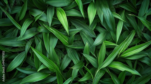 Professional photo close up of grass texture, minimalist, bold color 