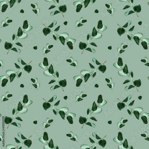 Seamless plant pattern isolated eucalyptus branches hand drawn. Repeating pattern green background.