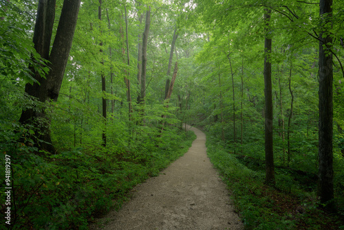 Gravel path trail through misty bright green forest woodland. Indiana. Midwest. State Park. Landscape.