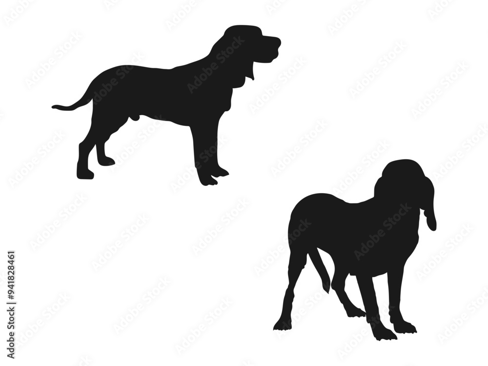 Dunker dog silhouette dog breeds Animal Pet. Black icon. Dunker Norwegian Hound Silhouette Vector. dunker dog Silhouette Bundle SVG. Dunker dog silhouette isolated on white background. Dunker dog silhouette dog breeds Animal Pet. Black icon. Dunker Norwegian Hound Silhouette Vector. dunker dog Silhouette Bundle SVG. Dunker dog silhouette isolated on white background.