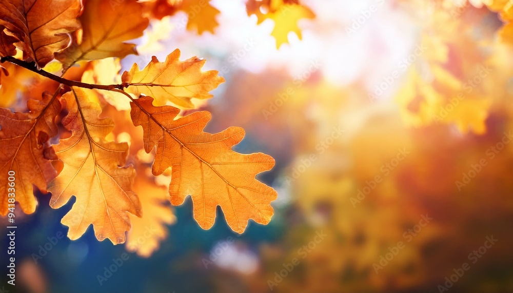 Autumn oak leaves on a tree with a blurred background of a sunny sky, showcasing the vibrant colors of fall against a bright, clear backdrop. Autumn oak leaves on a tree with a blurred background of a sunny sky, showcasing the vibrant colors of fall against a bright, clear backdrop.