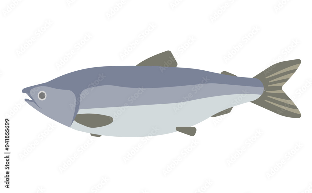 Obraz premium 鮭のイラスト
