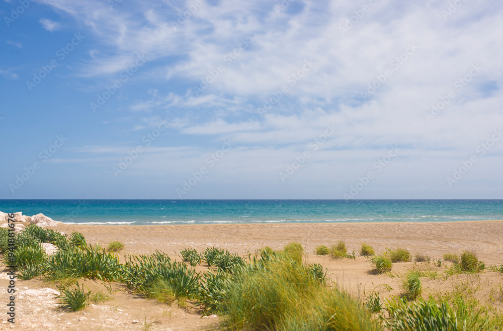 Juicy green seashore and golden sand Juicy green seashore and golden sand