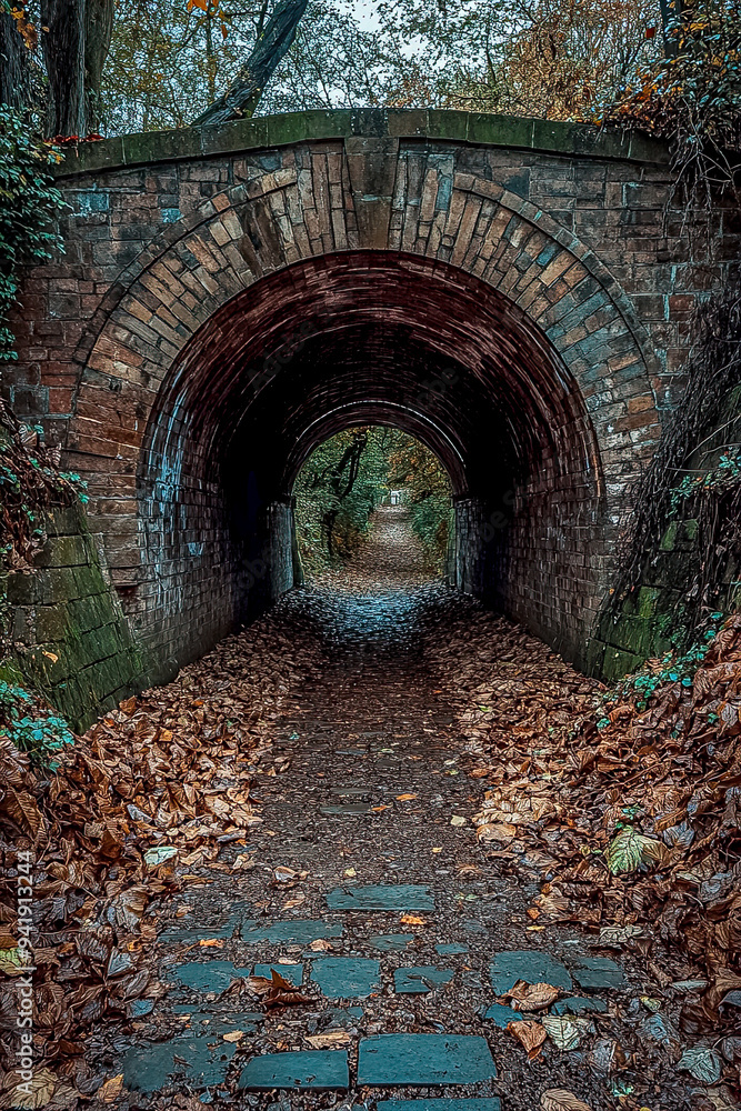 Obraz premium Vertical image tunnel under bridge.. Fallen leaves, seasonal.