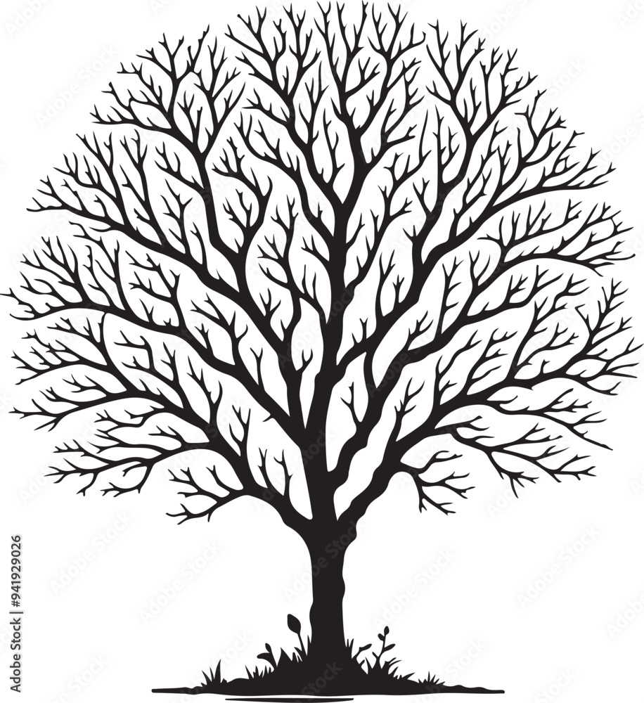 Obraz premium Tree without leaf silhouette vector style white background