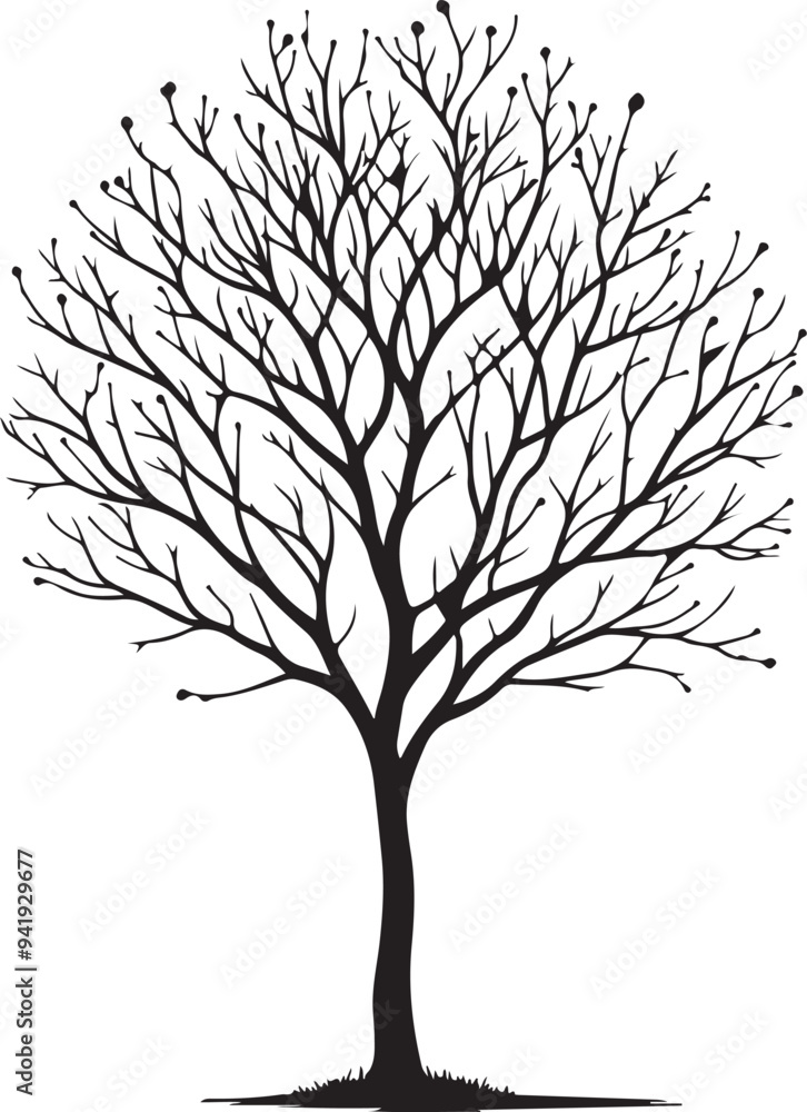 Obraz premium Tree without leaf silhouette vector style white background