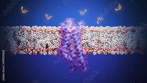 4F,5-MeO-PyrT bound to serotonin-1A 5-HT1A receptor, illustration photo