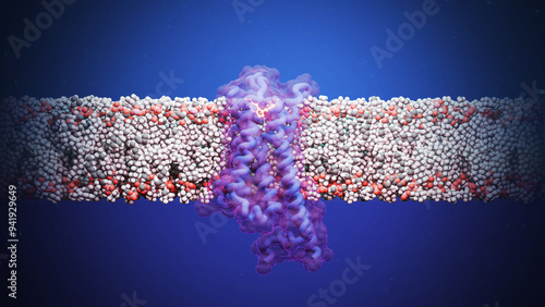 4F,5-MeO-PyrT bound to serotonin-1A 5-HT1A receptor, illustration