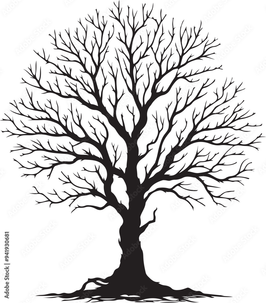 Obraz premium Tree without leaf silhouette vector style white background