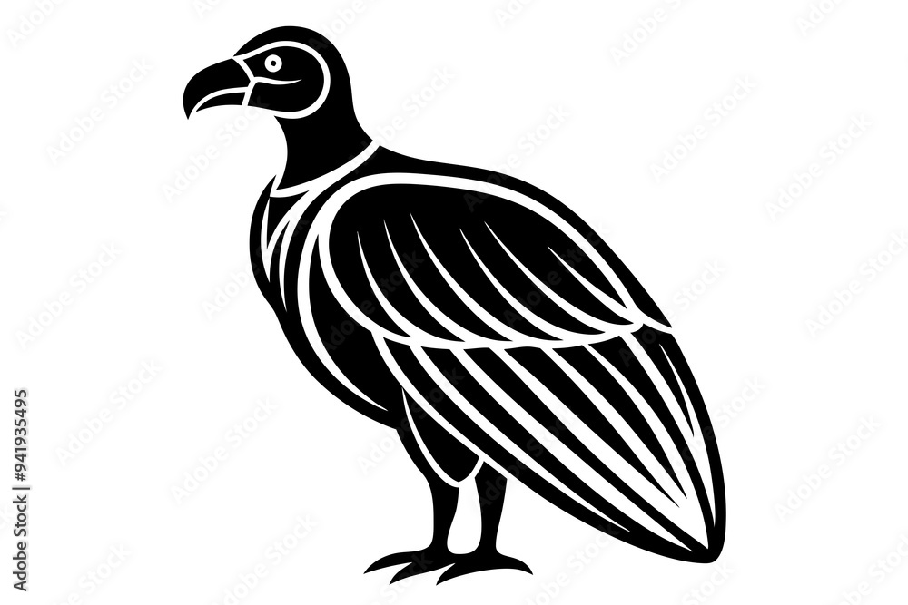 Condor vector on a white background Condor vector on a white background