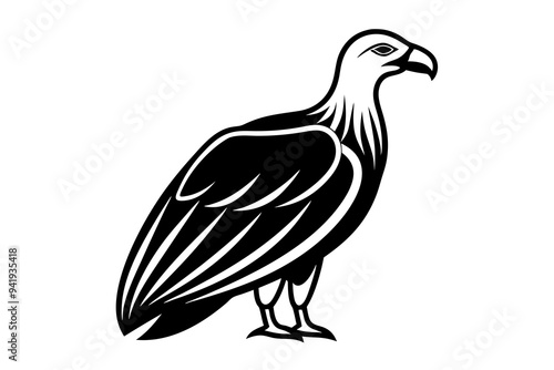 Condor vector on a white background