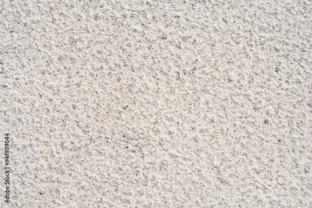 Detail of a stone paving slab Detail of a stone paving slab