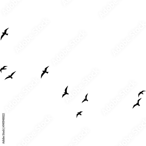 A flock of flying birds, Pigeons Flying Silhouettes, swallow Flying Silhouettes, group of birds in the sky, Silhouettes of wild birds in flight
