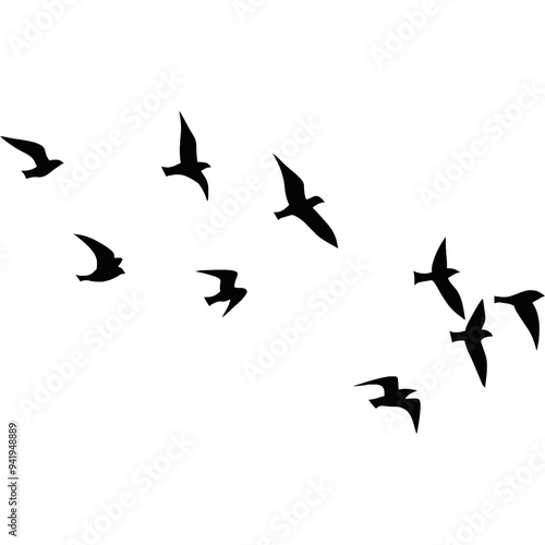 A flock of flying birds, Pigeons Flying Silhouettes, swallow Flying Silhouettes, group of birds in the sky, Silhouettes of wild birds in flight
