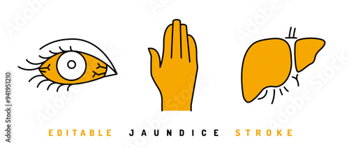  Jaundice icons set in outline style. Vector illustration
