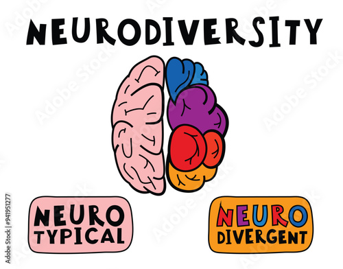 Neurotypical and neurodivergent brains. Human mind, experience diversity.