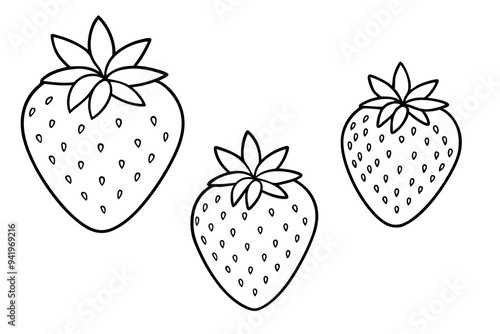 Set of Strawberry fruit Vector style on a line art White Background