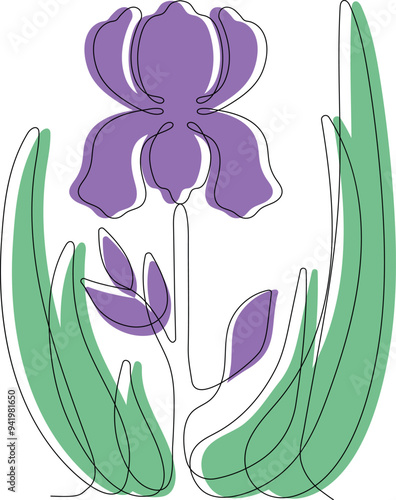 Iris drawn by one line