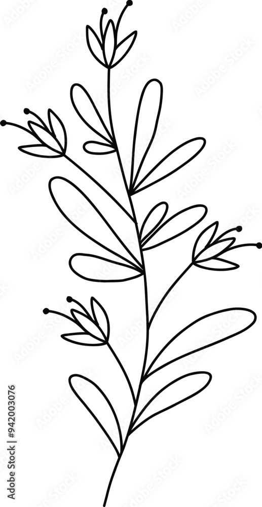 Flower branch doodle. Hand drawn herb line plant with leaves. Summer and spring rural branch. Natural decorative foliage sketch leaf. Floral isolated elements for wedding greeting card vector icon Flower branch doodle. Hand drawn herb line plant with leaves. Summer and spring rural branch. Natural decorative foliage sketch leaf. Floral isolated elements for wedding greeting card vector icon