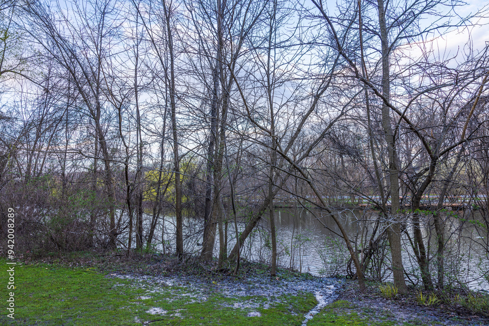 Spring evening park after rain with wet grass, puddles, lake view through leafless trees, and yellow-leaved trees on opposite shore. Spring evening park after rain with wet grass, puddles, lake view through leafless trees, and yellow-leaved trees on opposite shore.