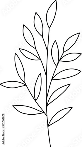 Flower branch doodle. Hand drawn herb line plant with leaves. Summer and spring rural branch. Natural decorative foliage sketch leaf. Floral isolated elements for wedding greeting card vector icon