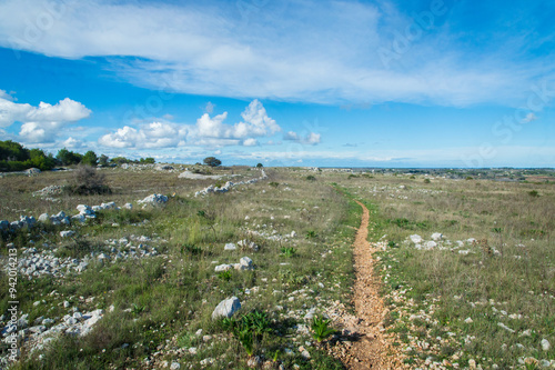 Un sentiero attraversa un campo roccioso lungo il Cammino del Salento che da Lecce porta a Santa Maria di Leuca photo