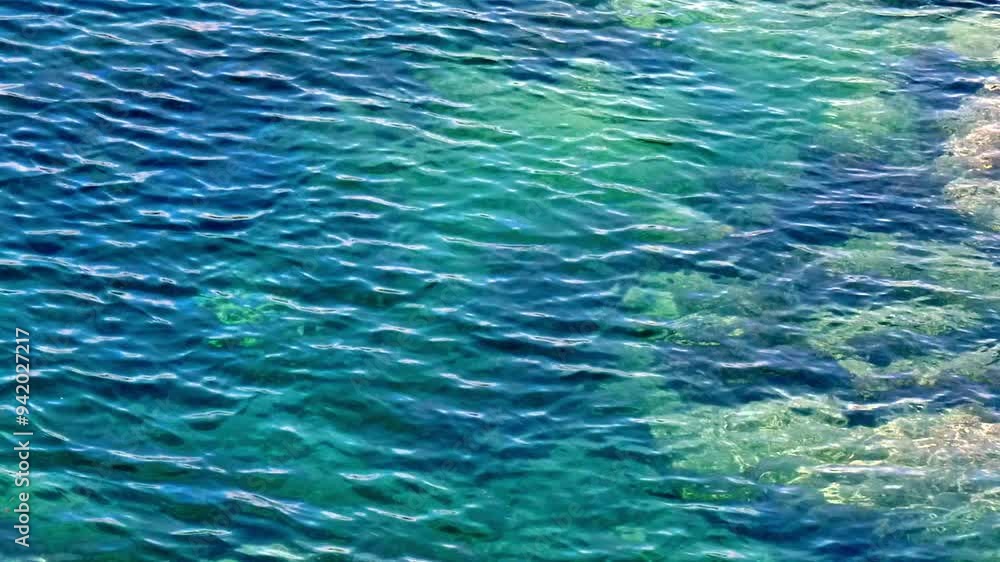 A close-up of the surface of a body of water. It's a clear blue color, with gentle waves and some white foam. There are some dark shapes visible beneath the water surface. A close-up of the surface of a body of water. It's a clear blue color, with gentle waves and some white foam. There are some dark shapes visible beneath the water surface.