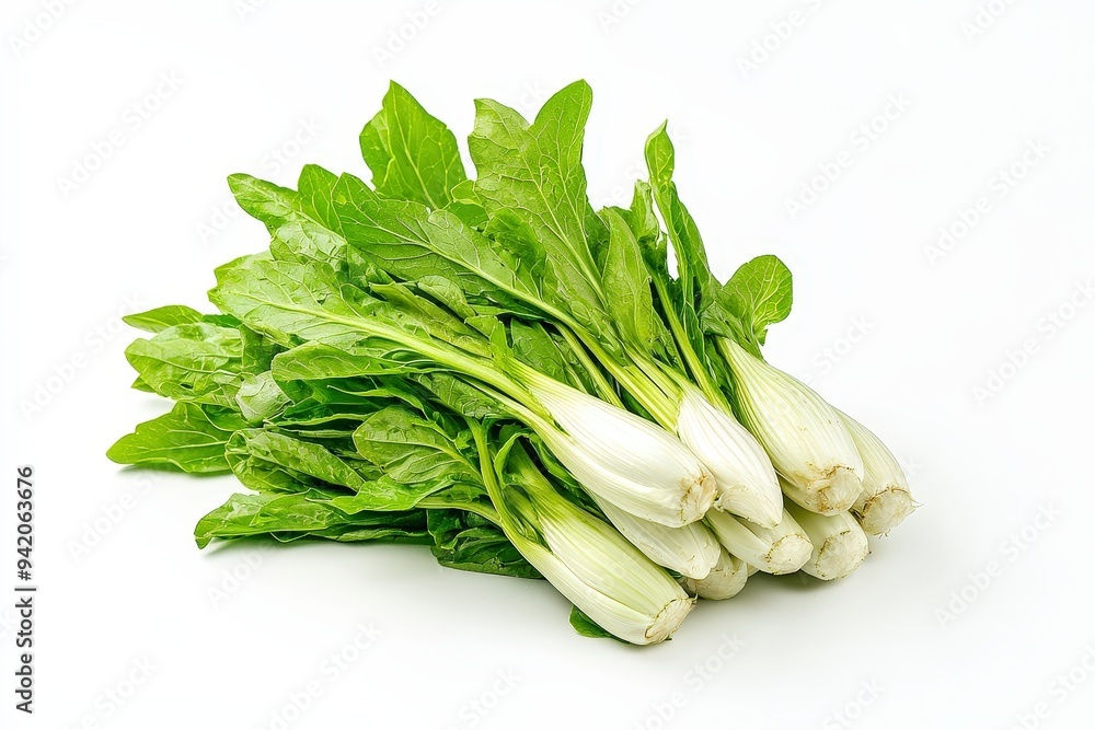 A bunch of fresh bok choy with green leaves and white stems. A bunch of fresh bok choy with green leaves and white stems.