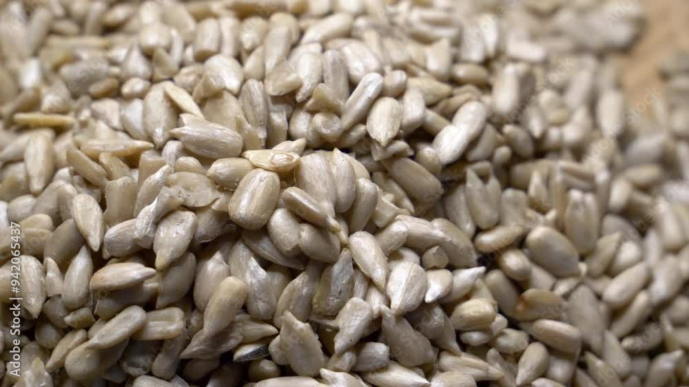A macro video depicting numerous sunflower seeds, displaying their natural, creamy white color and their slightly rough, uneven texture. A macro video depicting numerous sunflower seeds, displaying their natural, creamy white color and their slightly rough, uneven texture.