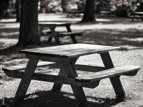 Serene Afternoon in the Park