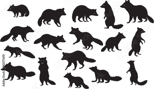 set of raccoon silhouette isolated on white background