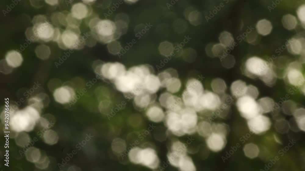 Green Blurry Bokeh Background