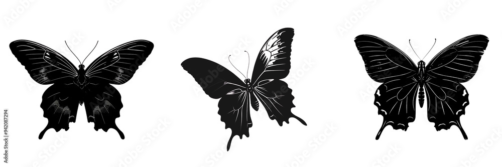 Set of elegant butterfly silhouette vector overlay isolated on a transparent background Set of elegant butterfly silhouette vector overlay isolated on a transparent background