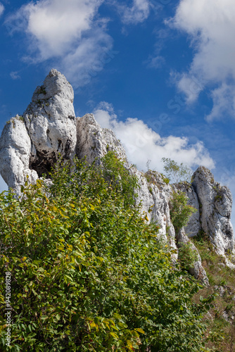 Obraz na płótnie Picturesque view of the limestone rocks located at geographical macroregion located in southern Poland, Polish Jurassic Highland w salonie